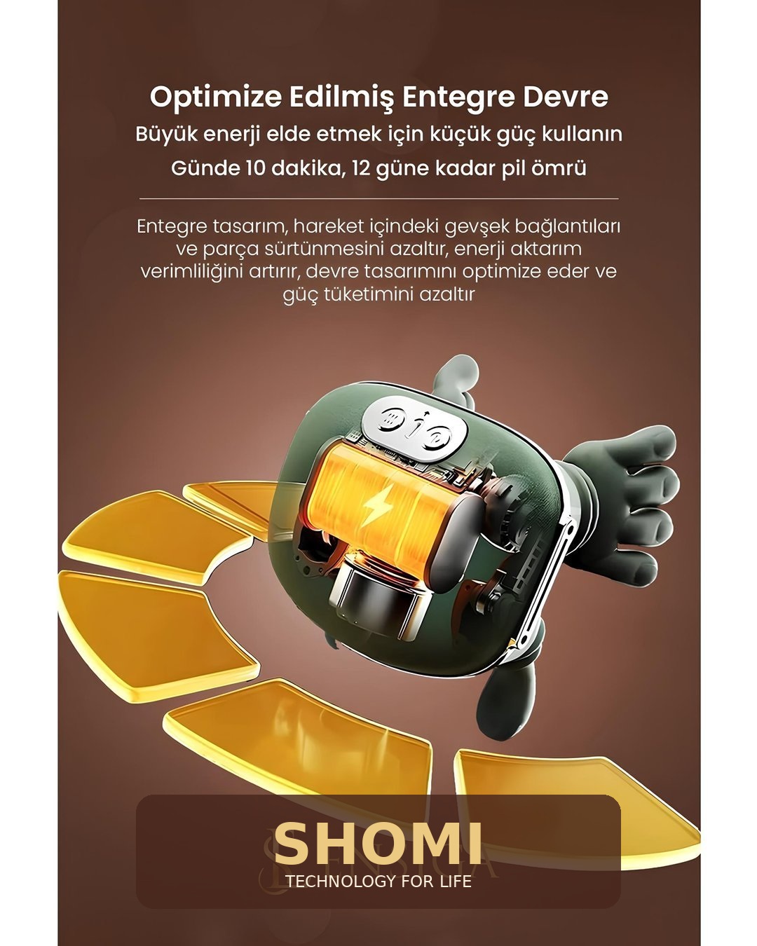 SHOMI optimize entegre devre